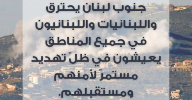 الهيئة الوطنية لشؤون المرأة اللبنانية: جنوب لبنان يحترق، واللبنانيات واللبنانيون في  جميع المناطق يعيشون في ظل تهديد مستمرّ لأمنهم ومستقبلهم.